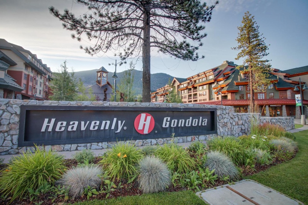 Moonlit Montreal Main image